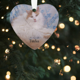 Pet Photo, Quote, Blue Pawprint, Name and Years Ornament
