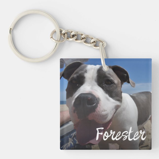 Pet photo simple photo collage keychain (Front)