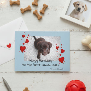 Pet Photo Template Happy Birthday Customize Card