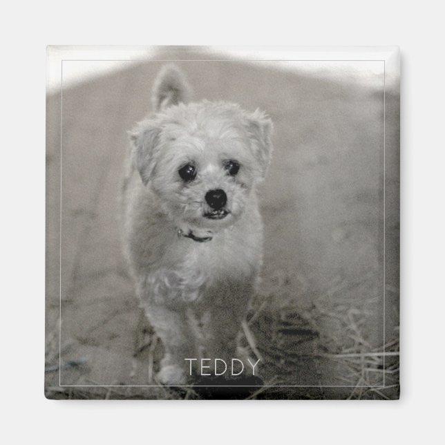 Pet Photo Timeless Keepsake Dog Mom Dad Magnet (Front)