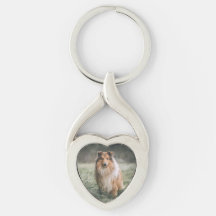 Pet Photo Twisted Heart Metal Keychain