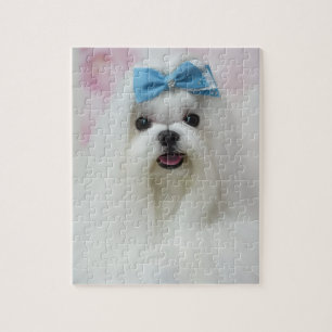 Pet Photo Upload Cute Adorable Dog Puzzle Fun