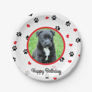 pet photo with cute sweet paw and heart pattern paper plate