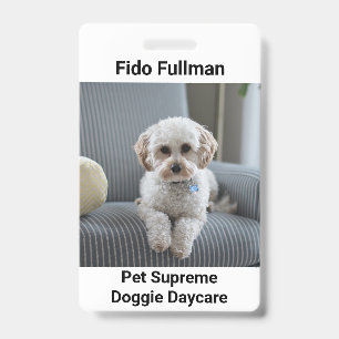 Pet Photo with Name and Doggie Daycare Badge