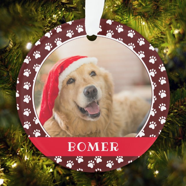 Pet Photo with Paw Print Pattern with Name (Créateur téléchargé)