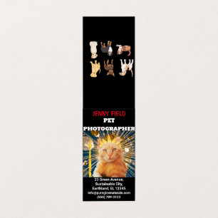 Pet Photographer Animal Photo Folded Business Card