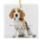  Pet Photos Modern Script First Christmas 
