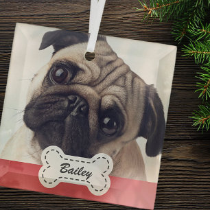 Pet Photos on Cute Dog Bone Add Name Glass Ornament