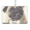 Pet Photos on Dog Bone Name Plate Car