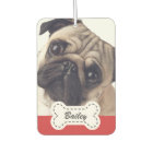 Pet Photos on Dog Bone Name Plate Car