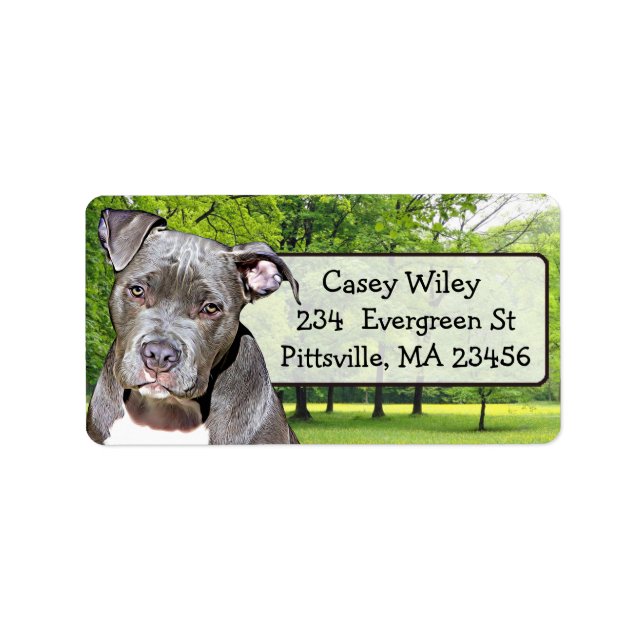 Pet Pitbull Chien Étiquette de adresse (Devant)