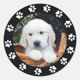 Pet Puppy Dog Paw Print Border Frame Sticker Label