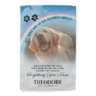 Pet Rainbow Bridge Photo Tribute