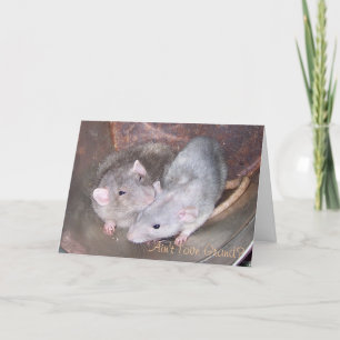 Pet Rat Anniversary Card
