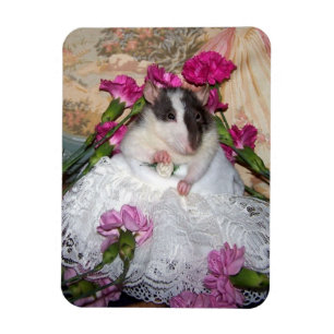 Pet Rat Bride Trudy Flexible Magnet