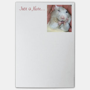 Pet Rat Bridget Post It Notes
