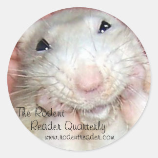 Pet Rat Bridget Sticker B