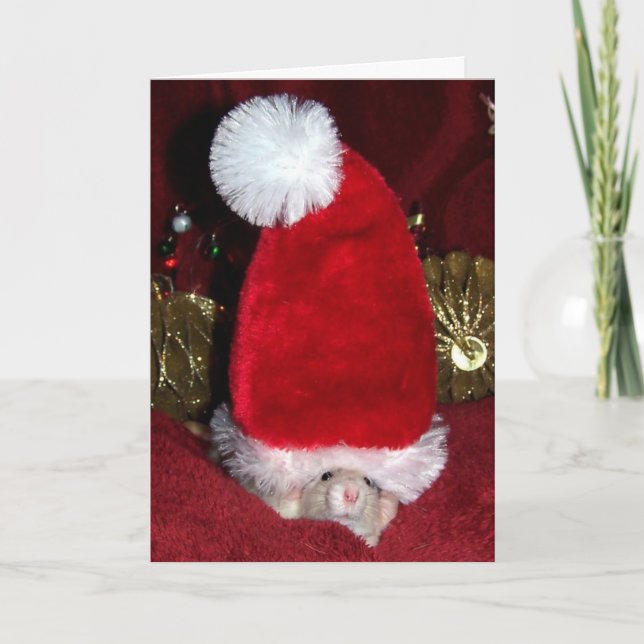 Pet Rat Holiday Greeting Card (Front)