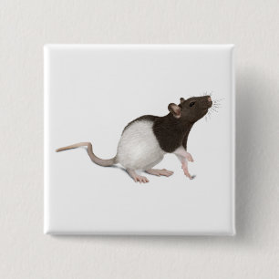 Pet Rat Painting 2 Inch Square Button