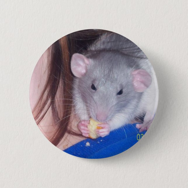 Pet Rat Pinback Button (Front)