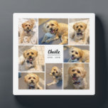 Pet Remembrance 8 Photo Personalized Plaque<br><div class="desc">As we cherish our pets deeply, losing one can be so hard! Lift your loved one's spirits with this modern styled photo plaque, which features 8 photo templates, as well as templates for the pet's name and years lived.</div>