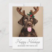 Pet Rescue Photo Christmas