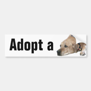 Pet Rhodesian Ridgeback Dog Picture Bumper Sticker
