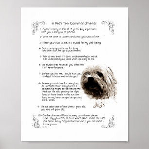 Pet Rules - JoJo    Poster