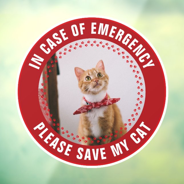 Pet Safety Alert Custom Cat Photo First Responder Window Cling (Sheet 3)