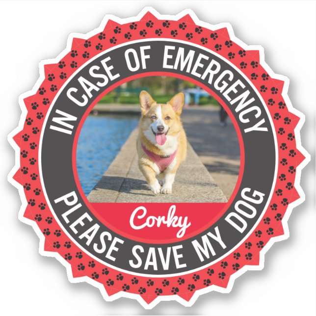 Pet Safety Alert In Case of Emergency Dog Corgi  (Front)