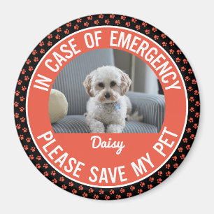 Pet Safety Alert Photo & Name Emergency Responder Magnet