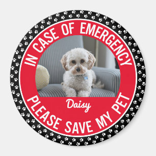Pet Safety Alert Photo & Name Emergency Responder Magnet