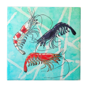 Pet Shrimp Hobby Cherry Blue Crystal Red Turquoise Tile