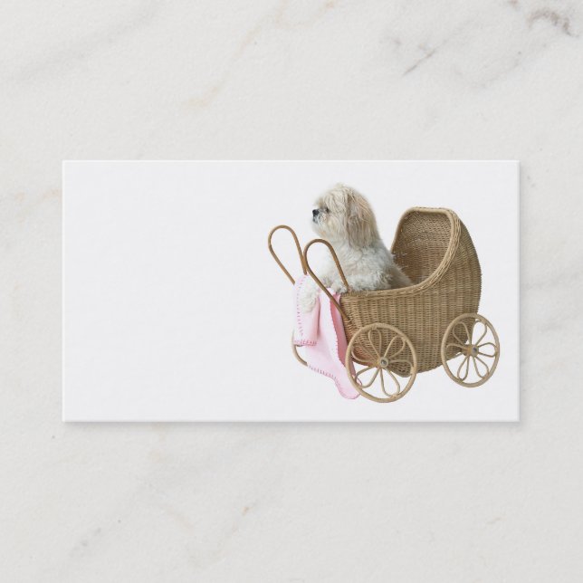 Pet sitter business card (Front)
