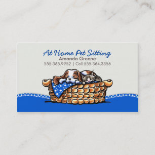 Pet Sitter Business CKCS w/ Cat Blueberry Card