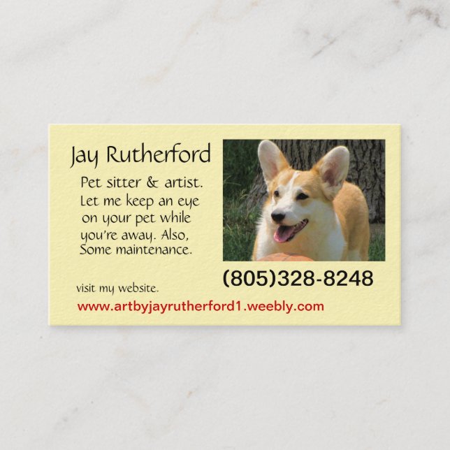 Pet sitter needed business card (Front)