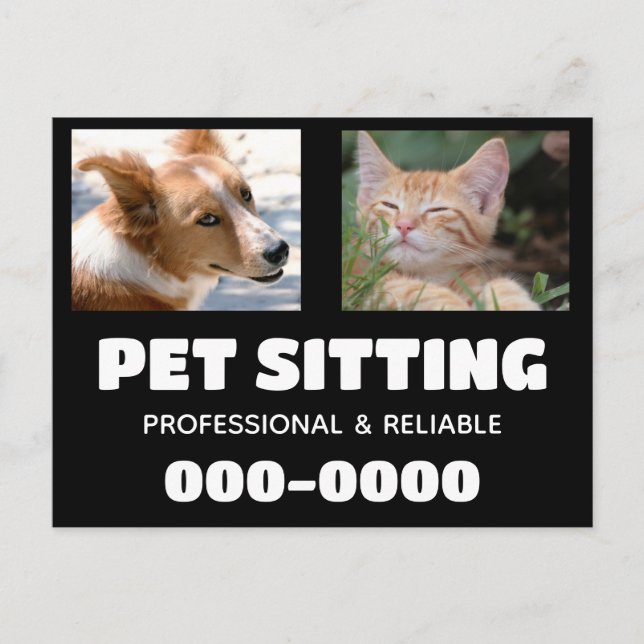 Pet Sitting business with dog and cat photos Postcard (Front)