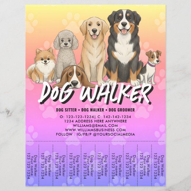 Pet Sitting Dog Walker Custom Promotional Vibrant Flyer (Front)
