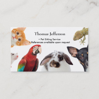 Pet Sitting Service Business Card
