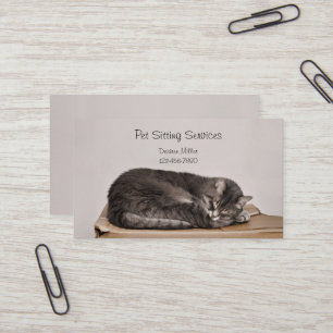 Pet Sitting Services Cat Grooming Dog Walking Business Card