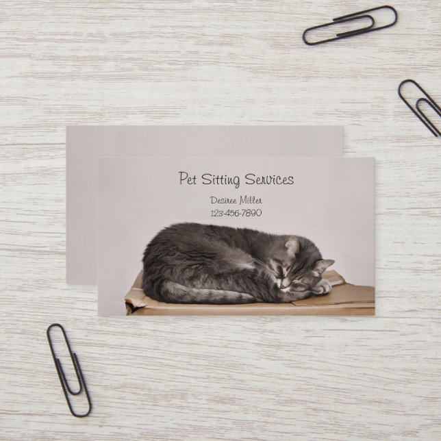 Pet Sitting Services Cat Grooming Dog Walking Business Card (Front/Back In Situ)