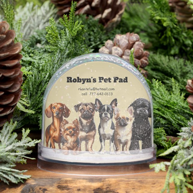 Pet Sitting Snow Globe (Winter)
