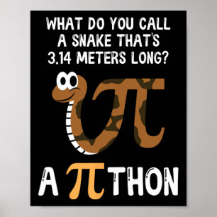 Pet Snake Math Pi Day Python  Poster