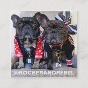 Pet Star Modern Minimalist Simple Photo and Logo Square Business Card