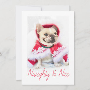 Pet Star   Naughty & Nice Custom Pet Dog Photo Holiday Card