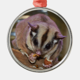 Pet Sugar Glider Metal Ornament