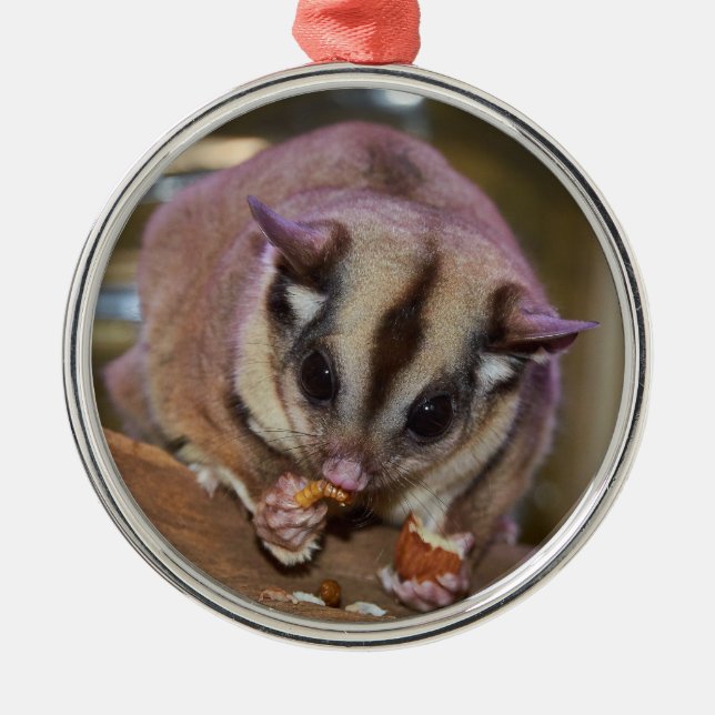 Pet Sugar Glider Metal Ornament (Front)