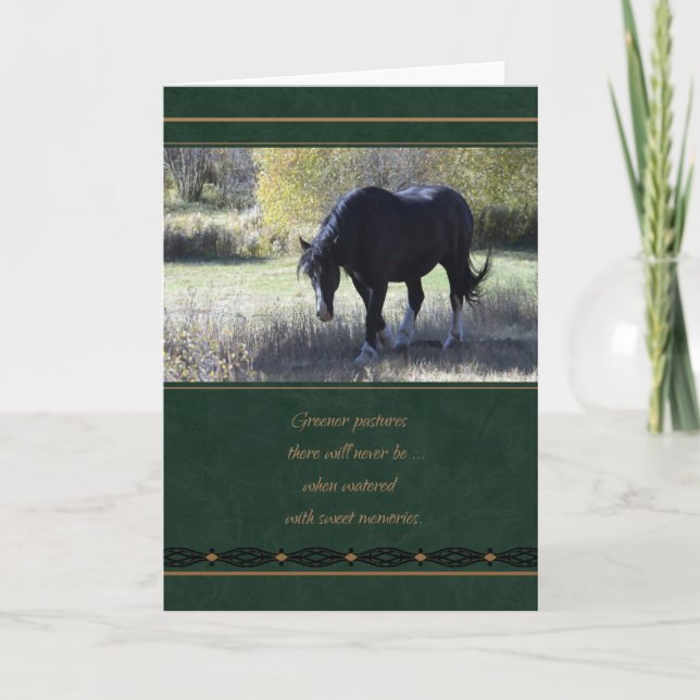 Pet Sympathie perte de la carte de cheval (Devant)