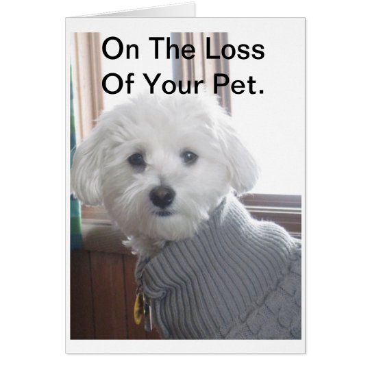 Pet Sympathy Card
