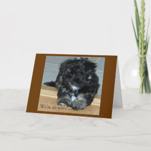 Pet Sympathy Card
